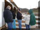 looking_at_the_loafing_sheds.JPG (145098 bytes)